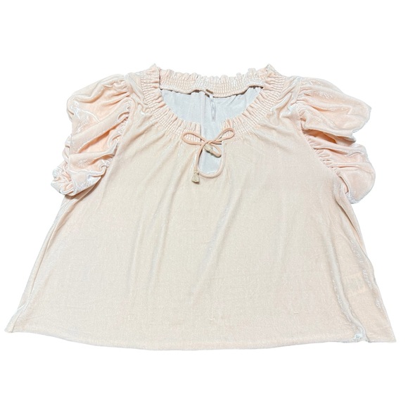 NWOT Free People Terese Velour Crop Top Pink Tint Flutter Balloon Sleeves Size S - Picture 6 of 13